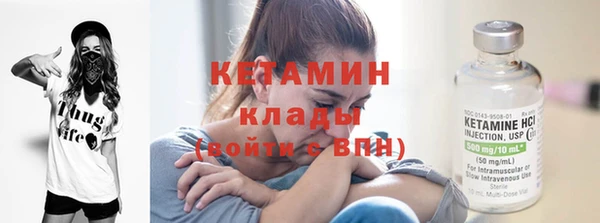 трава Ельня