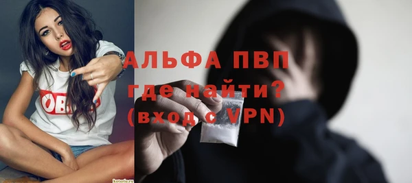 трава Ельня