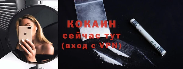 трава Ельня