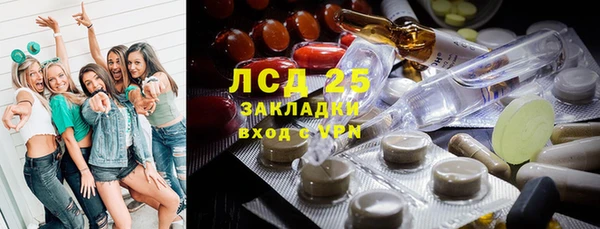 трава Ельня