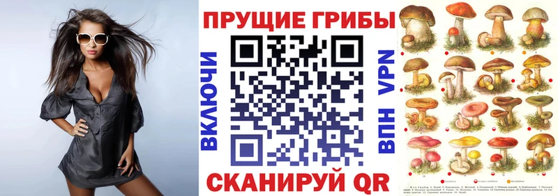 Галлюциногенные грибы Cubensis  Миасс 